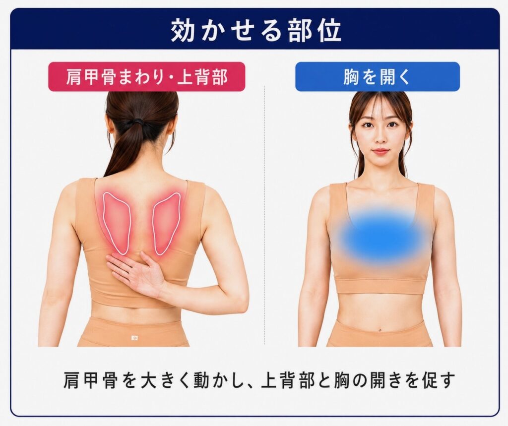 男性向けパーソナルジム